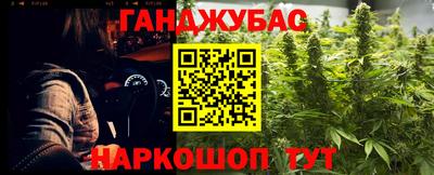 хмурый Дубна