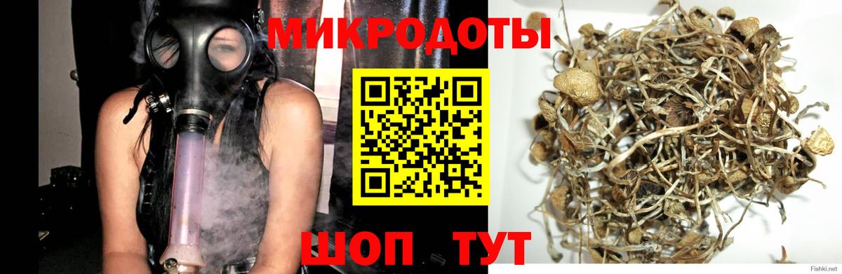 Галлюциногенные грибы Cubensis  Галлюциногенные грибы мухоморы  где найти наркотики  Нерюнгри  Вход с VPN 